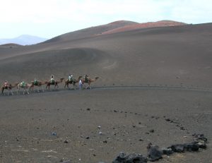 Parque Nacional de Timanfaya. Ruta de los Camellos.
