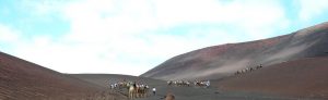 Parque Nacional de Timanfaya. Ruta de los Camellos.
