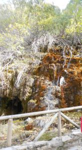 Nacimiento río Cuervo