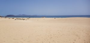 Fuerteventura. Dunas y playas de Corralejo