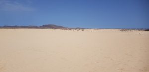 Fuerteventura. Dunas y Grandes Playas de Corralejo