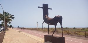 Fuerteventura. Jandia. Morro Jable. Playa del Matorral