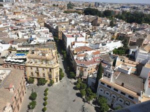 Sevilla. Barrio de Santa Cruz desde la Giralda