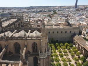 Sevilla. Catedral y patio de los Naranjos desde la Giralda.