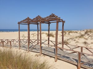 Cádiz. Playa de la Cortadura