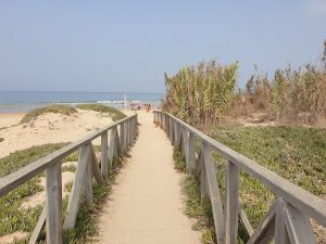 Cádiz. Costa de la Luz. Playa de El Palmar.